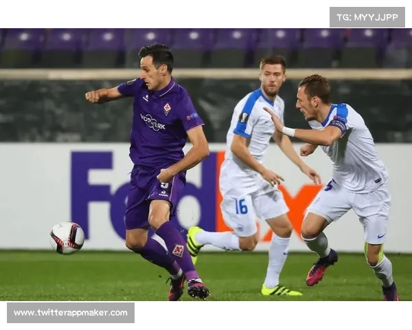 足球的各项赛事_足球赛事百科全书:从国际大赛到本土联赛全方位解读精彩瞬间